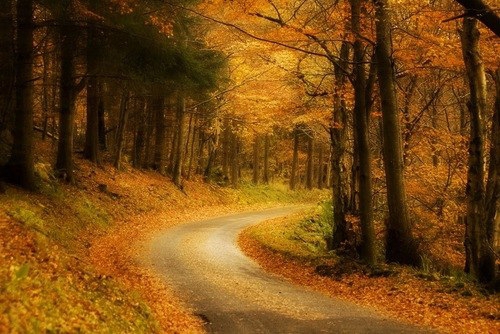 Так давно я тебя не слышу