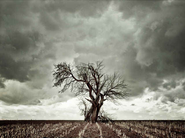 Далеким так кажется небо