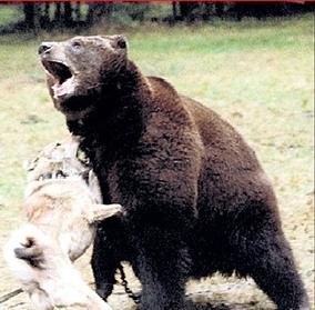 Мнимое величие