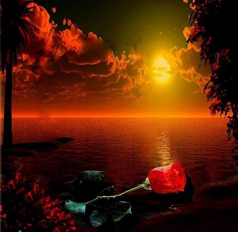 Ведь так несложно отдавать...