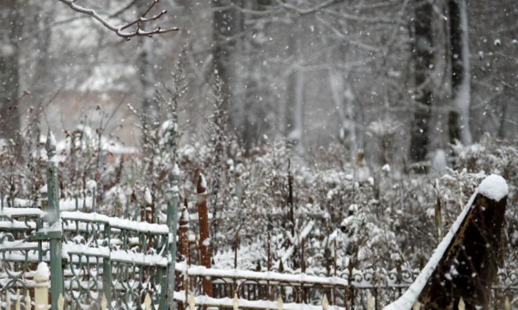 19 октября 2014 любимому внуку было бы 7 лет...