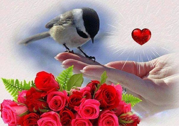 Если видишь мира красоту...