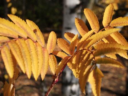 Пустота души