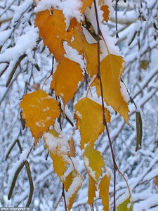 Откуда светло?