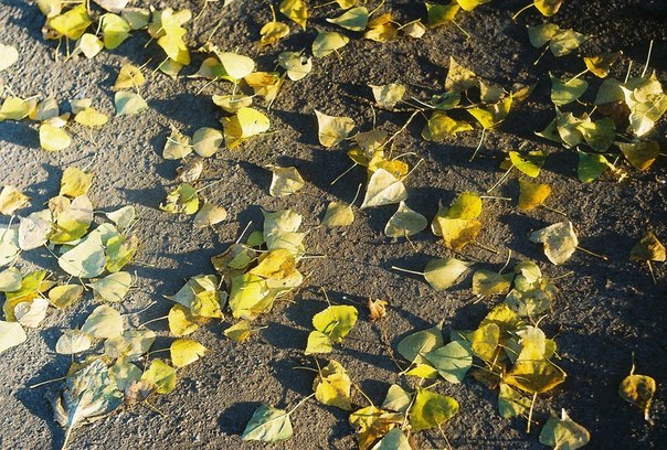 солнце заточенными лучами...