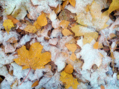 Пришла зима