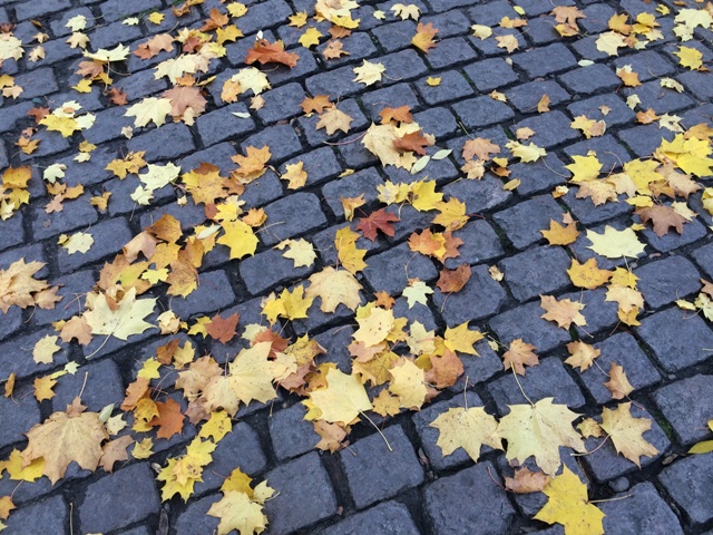 В месяце листопаде