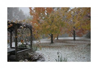 Сегодня снова выпал снег