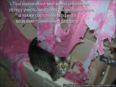Стихополотно. Кошачья месть