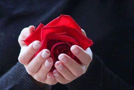 Закончена история...