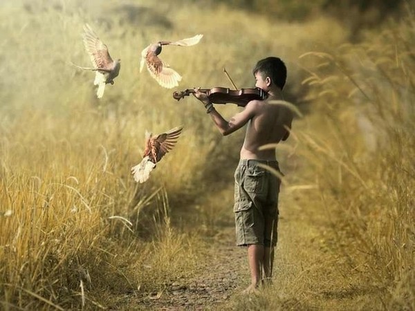 Крылья мотылька