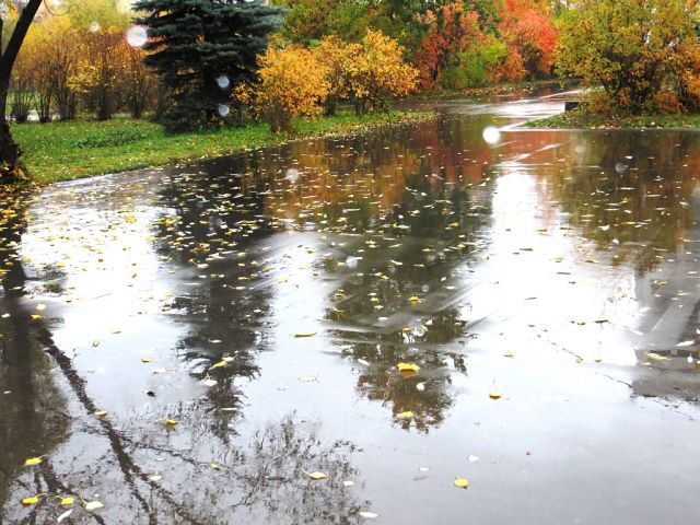 Отражения III