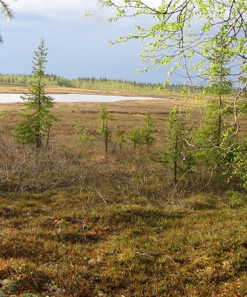 Песня о Севере!