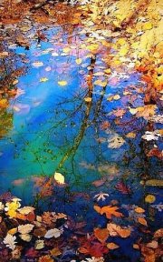 У осени печальные глаза У осени печальные глаза