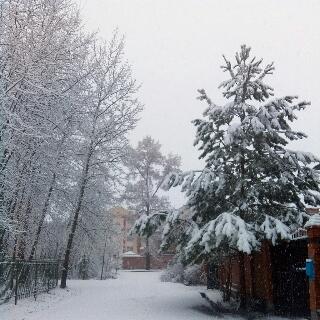 Первый снег