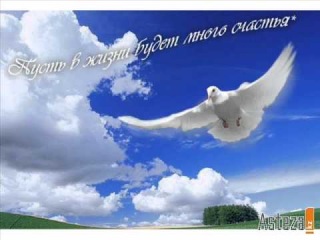 Счастье прилетело