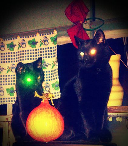 Мы отмечаем хеллоуин!