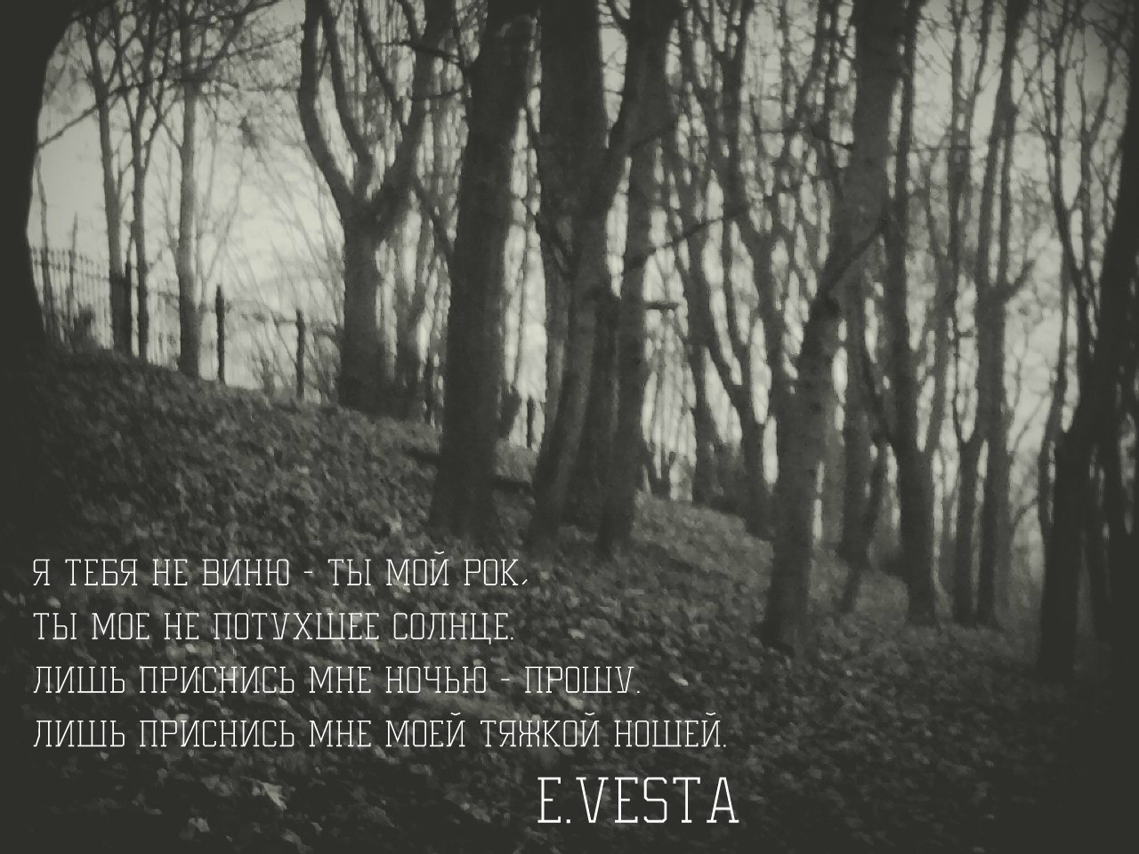 Приснись мне этой ночью