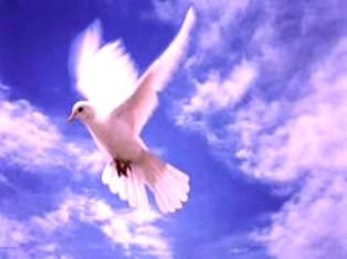 Просто мысли