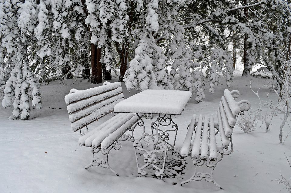 Пробадилось небо первым снегом...