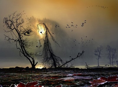 В продрогшем небе