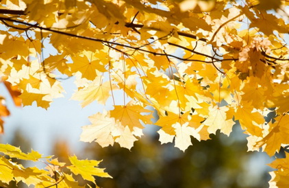 Солнце пышет мне в лицо!