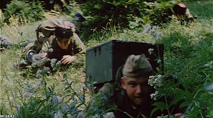 Разведка войсковая