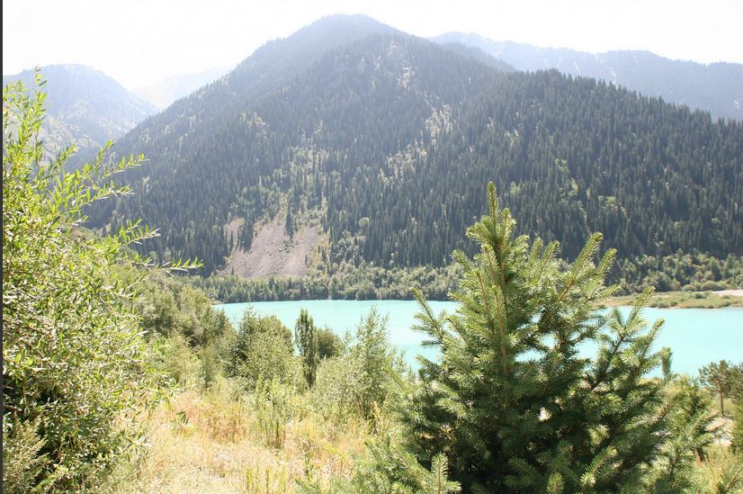 Где живут туманы