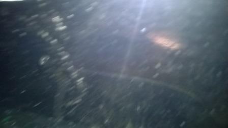 Скажи что это все же ты