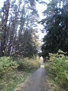 Дождливый день...