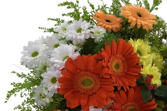 Благая Вестница