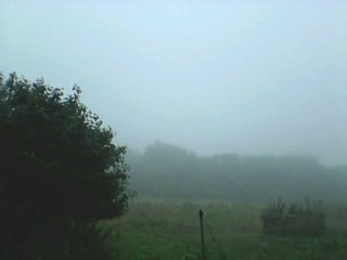 Августовские туманы