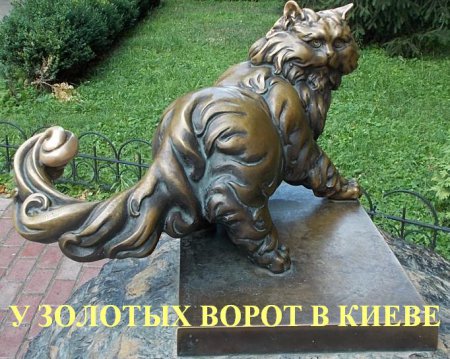 Кошки моей жизни - 3