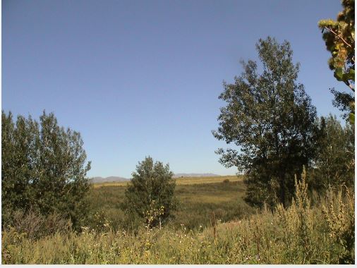 Приснилась тема