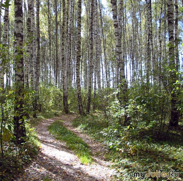 А мы кукушку выгоним из рощи