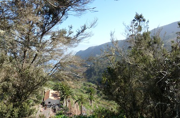 Себе я требую прощенья...