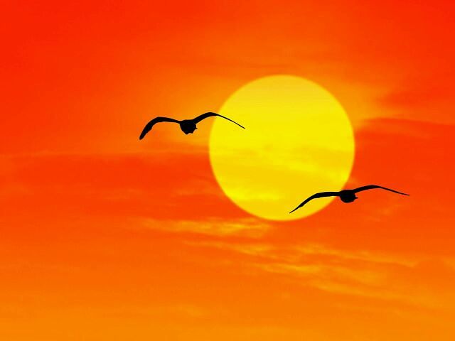 О душе, судьбе и мудрости