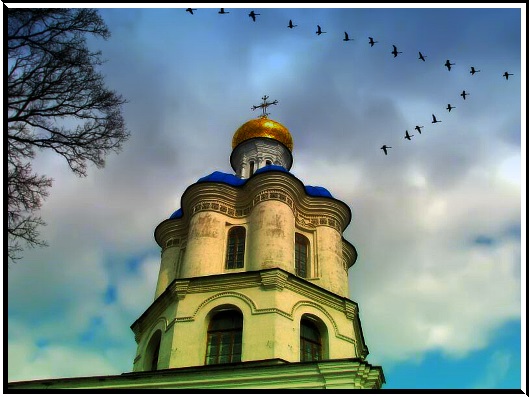 Вино моих дорог