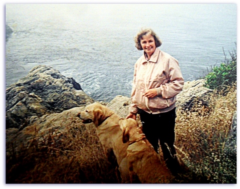 Важно смотреть на Израиль