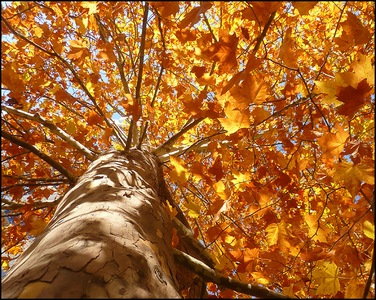 Осенний день