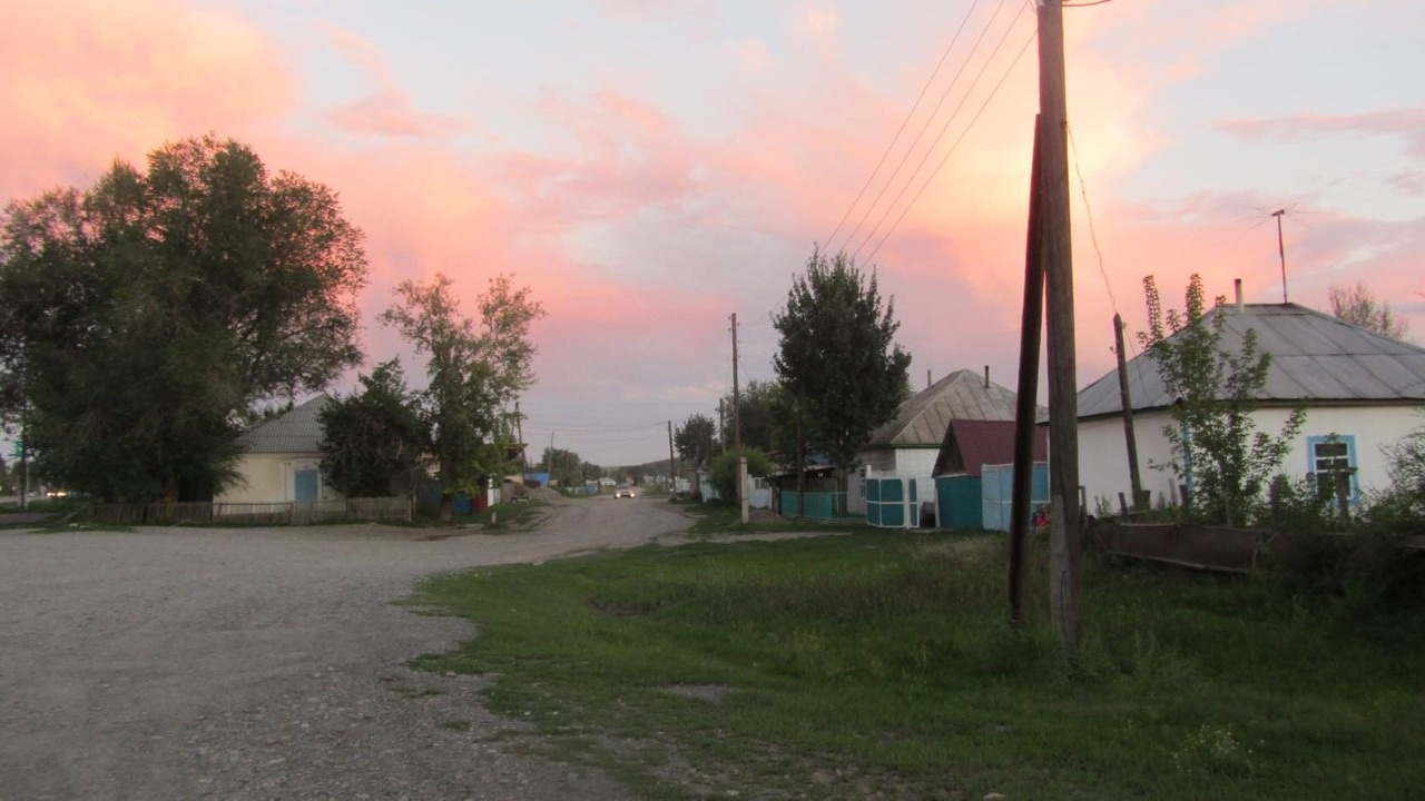 Опять сегодня журавли летели