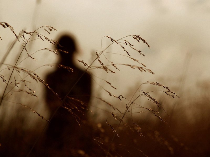 френезия 10. 11. 2014