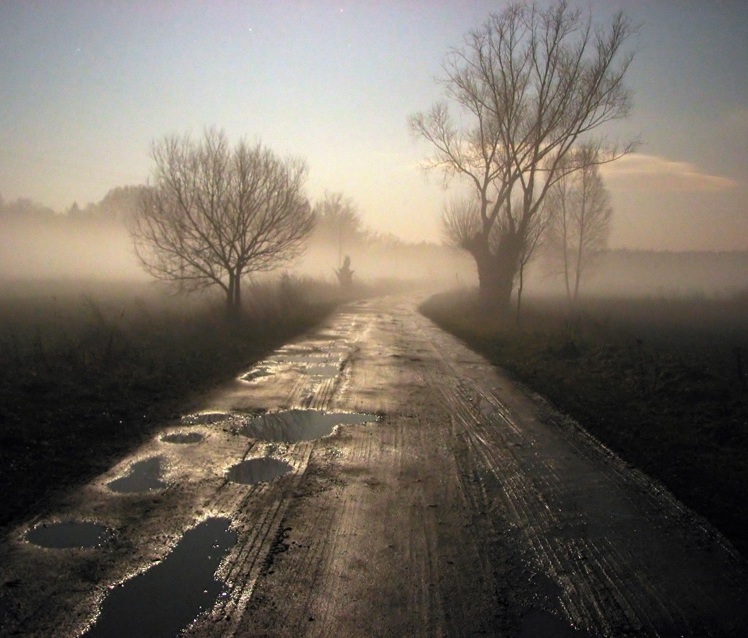 Странная дорога