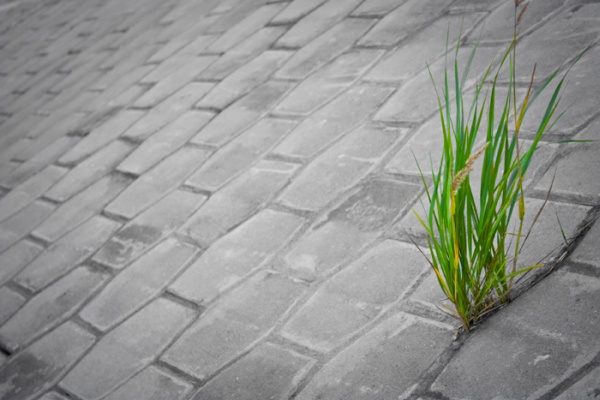 Мелочи. 15. 10. 2013