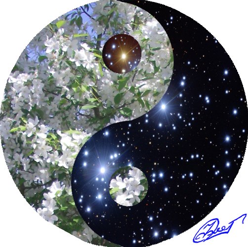 Надевая носок наизнанку