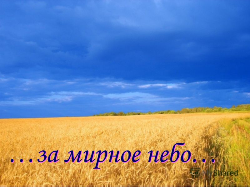 Итоги конкурса - Средь моря зла...