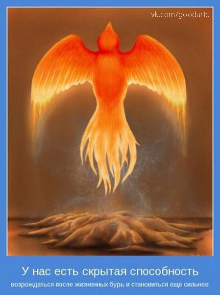 Агония земли..