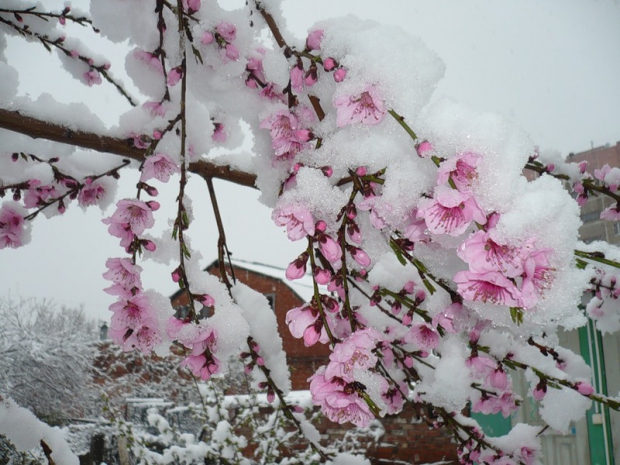 Новая песня прослушать