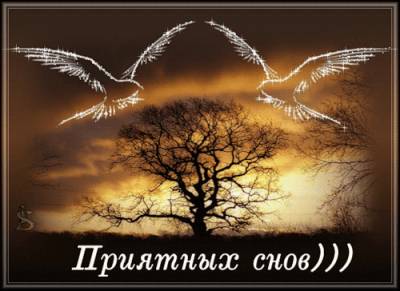 Ночь баюкая тенями
