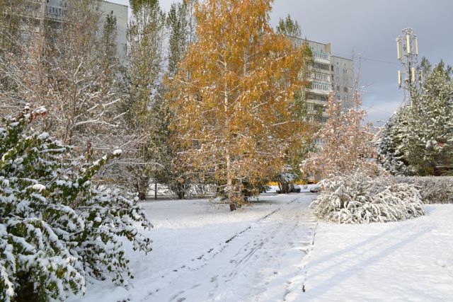 Прилетят весною птицы